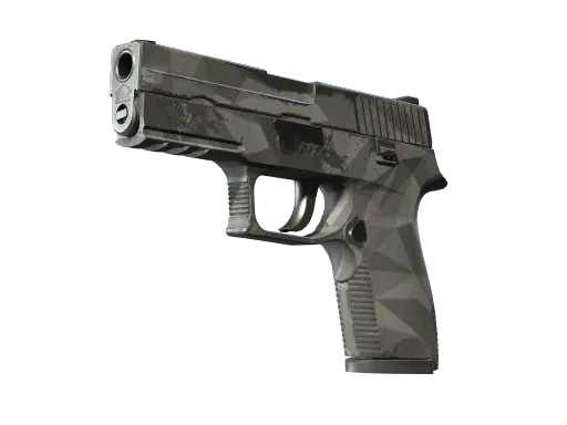 P250 | Facets (Well-Worn)