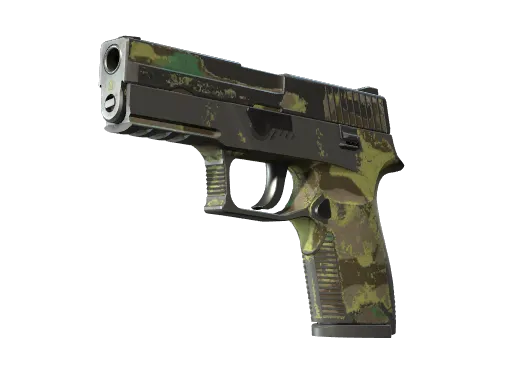 P250 | Boreal Forest (Battle-Scarred)