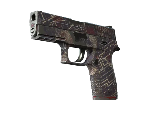 P250 | Facility Draft (Field-Tested)