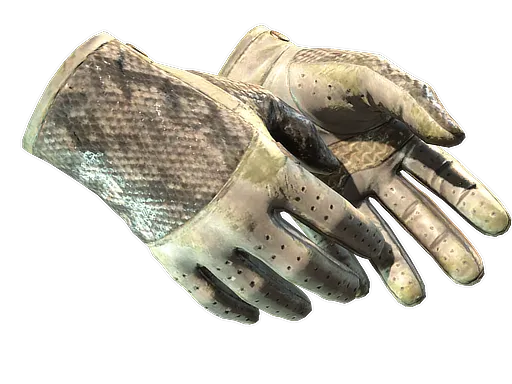 ★ Driver Gloves | King Snake (Battle-Scarred)