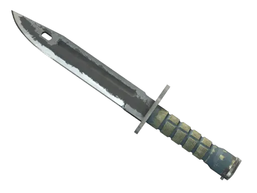 ★ Bayonet | Night (Battle-Scarred)