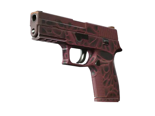 P250 | Contaminant (Minimal Wear)