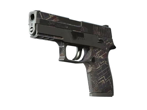 P250 | Facility Draft (Battle-Scarred)