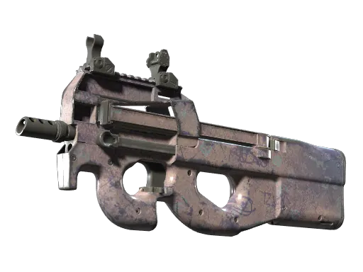 P90 | Wash me (Well-Worn)