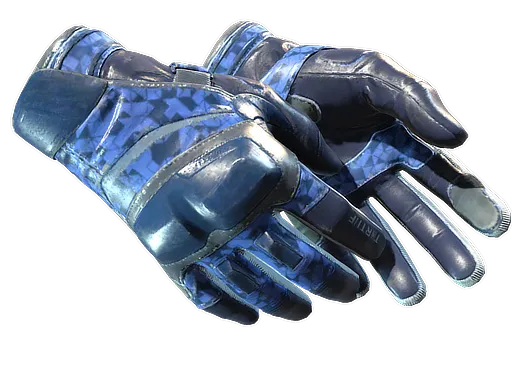 ★ Moto Gloves | Polygon (Field-Tested)