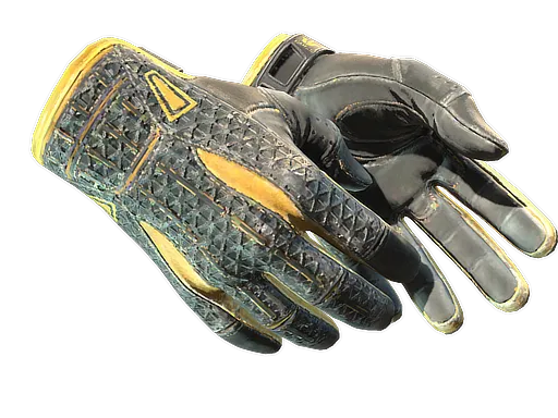 ★ Sport Gloves | Omega (Well-Worn)