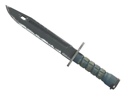 ★ Bayonet | Night (Field-Tested)