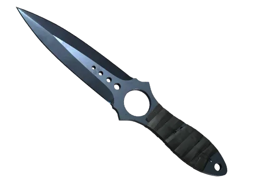 ★ Skeleton Knife | Blue Steel (Well-Worn)