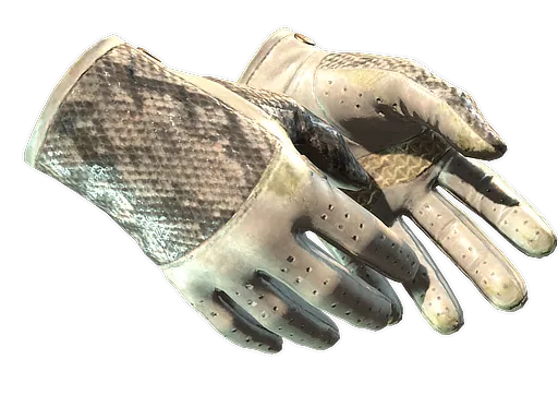 ★ Driver Gloves | King Snake (Well-Worn)
