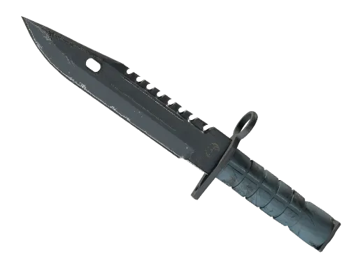 ★ M9 Bayonet | Night (Well-Worn)