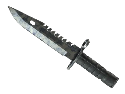 ★ M9 Bayonet | Stained (Well-Worn)