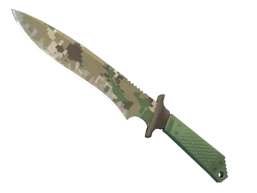 ★ Classic Knife | Forest DDPAT (Well-Worn)