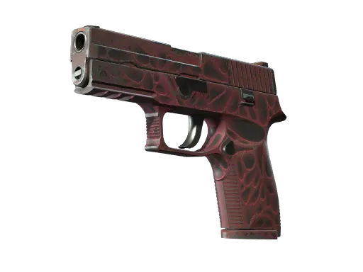 P250 | Contaminant (Well-Worn)