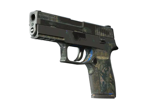 P250 | Exchanger (Battle-Scarred)