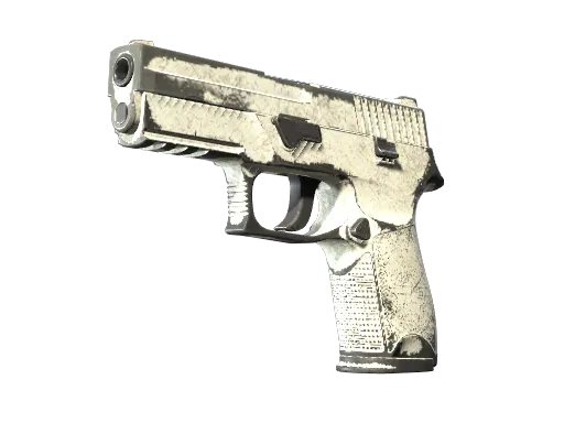 P250 | Whiteout (Battle-Scarred)
