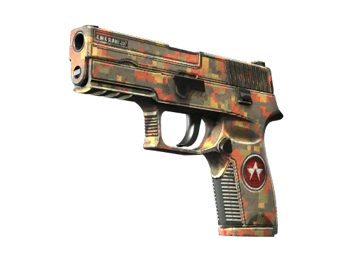 StatTrak™ P250 | Red Rock (Well-Worn)