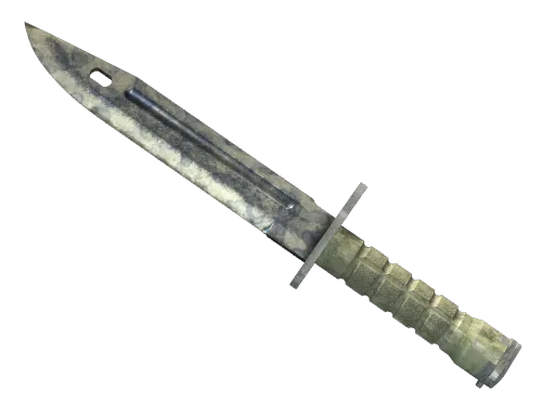 ★ Bayonet | Stained (Battle-Scarred)