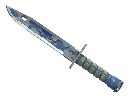 ★ Bayonet | Bright Water (Battle-Scarred)