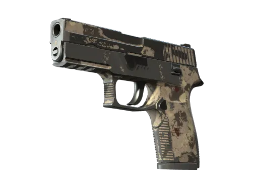 P250 | Black & Tan (Battle-Scarred)