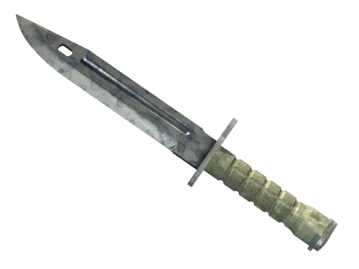 ★ StatTrak™ Bayonet | Stained (Field-Tested)