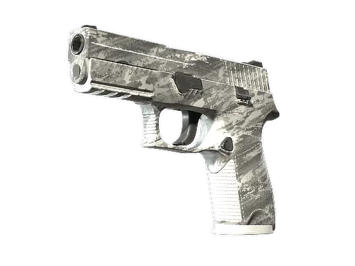 P250 | Sleet (Minimal Wear)