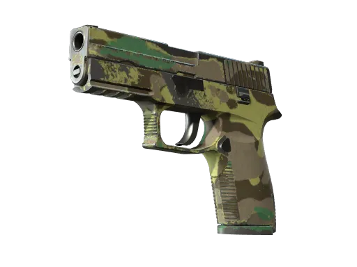 Souvenir P250 | Boreal Forest (Well-Worn)