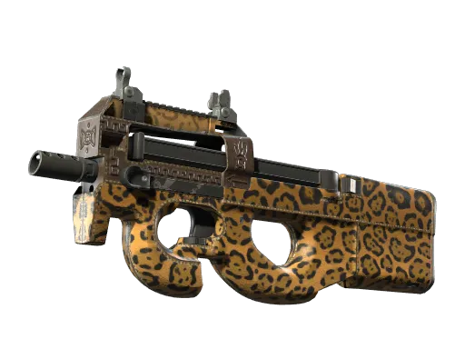P90 | Run and Hide (Well-Worn)