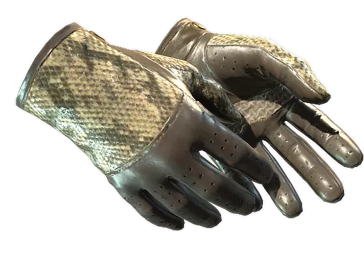 ★ Driver Gloves | Diamondback (Factory New)