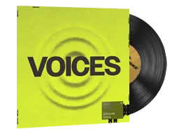 StatTrak™ Music Kit | ShockOne, Voices