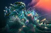 Loading Screen