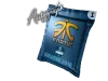 Autograph Capsule | Fnatic | Cologne 2016 Containers