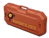eSports 2013 Case Containere