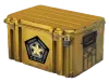 Gamma 2 Case Containers