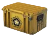 Gamma Case Containers