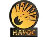 The Havoc Collection 容器