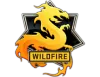 The Wildfire Collection Контейнеры
