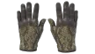 Diapositiva 1