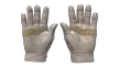 Slide 2