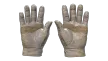 شريحة 2