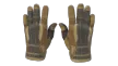 Diapositiva 1