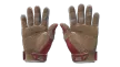 شريحة 2