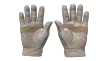 Slide 2