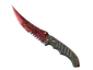 Dia 3