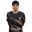 HEN1