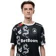 robo