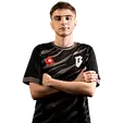 tomaszin