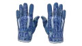 ★ Sport Gloves | Amphibious (Factory New)