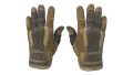 ★ Sport Gloves | Arid (Field-Tested)