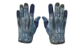 ★ Sport Gloves | Frosty (Factory New)