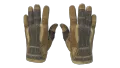 ★ Sport Gloves | Arid (Field-Tested)